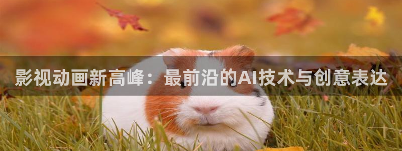 51视频com