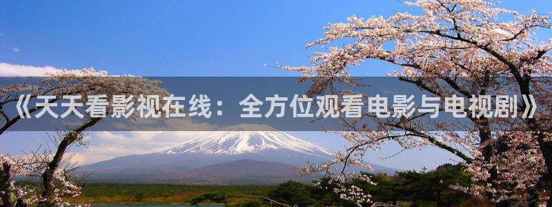 国内51视频：《天天看影视在线：全方位观看电影与电视剧》