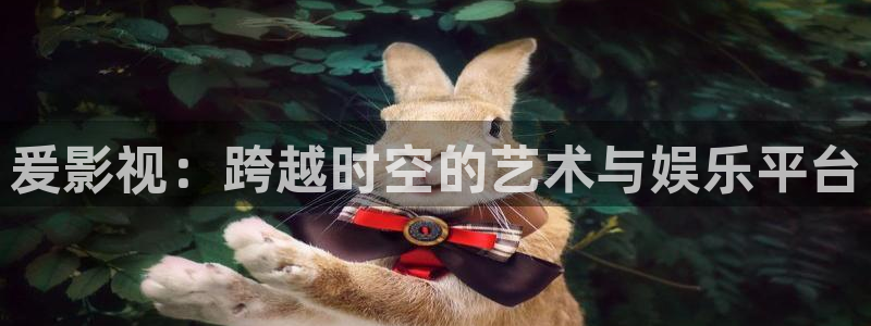 51视频app