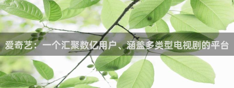 51视频全部免费是真的吗：爱奇艺：一个汇聚数亿用户、涵盖多类型电视剧的平台
