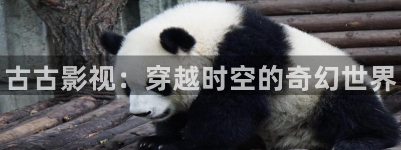mm.51视频：古古影视：穿越时空的奇幻世界