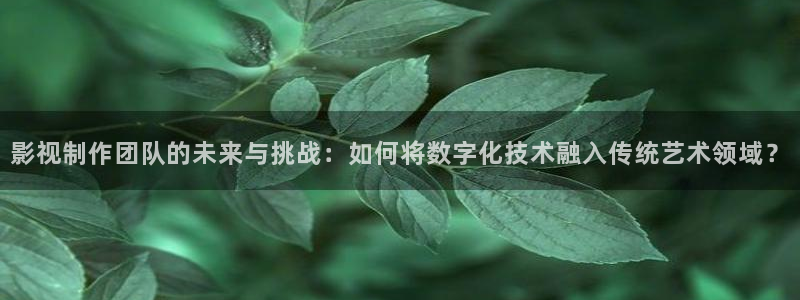 51视频在线视频：影视制作团队的未来与挑战：如何将数字化技术融入传统艺术领域？