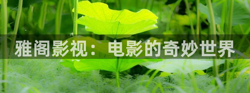 51视频一区二区：雅阁影视：电影的奇妙世界