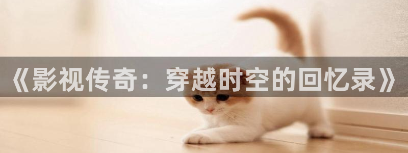 在线观看51视频