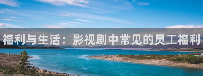 51视频免费入口