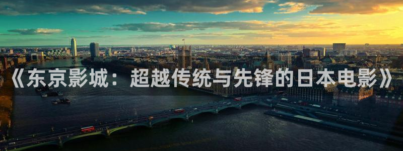 http://51视频.cc/：《东京影城：超越传统与先锋的日本电影》